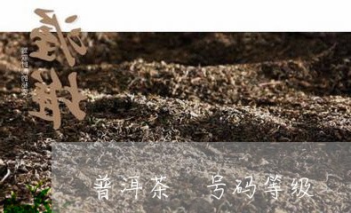 普洱茶 号码等级/2023041042936